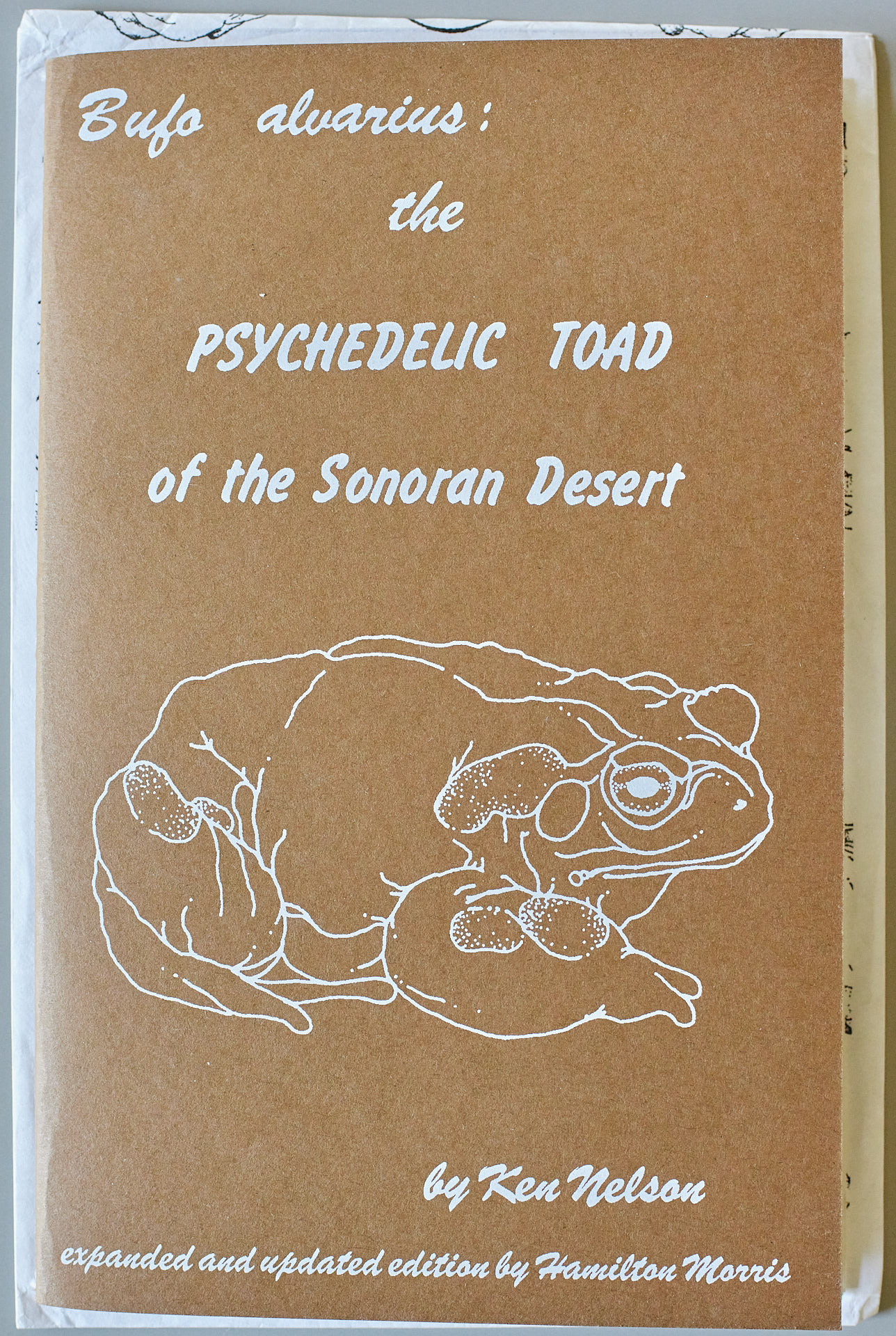 Bufo Alvarius: The Psychedelic Toad of the Sonoran Desert